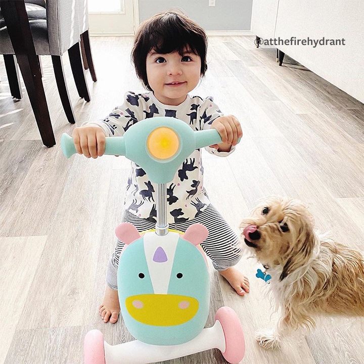 must haves for toddlers